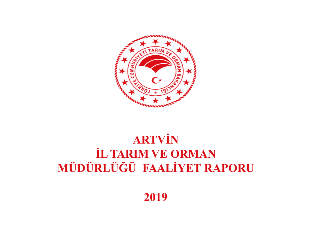 2019 Yılı Faaliyet Raporu