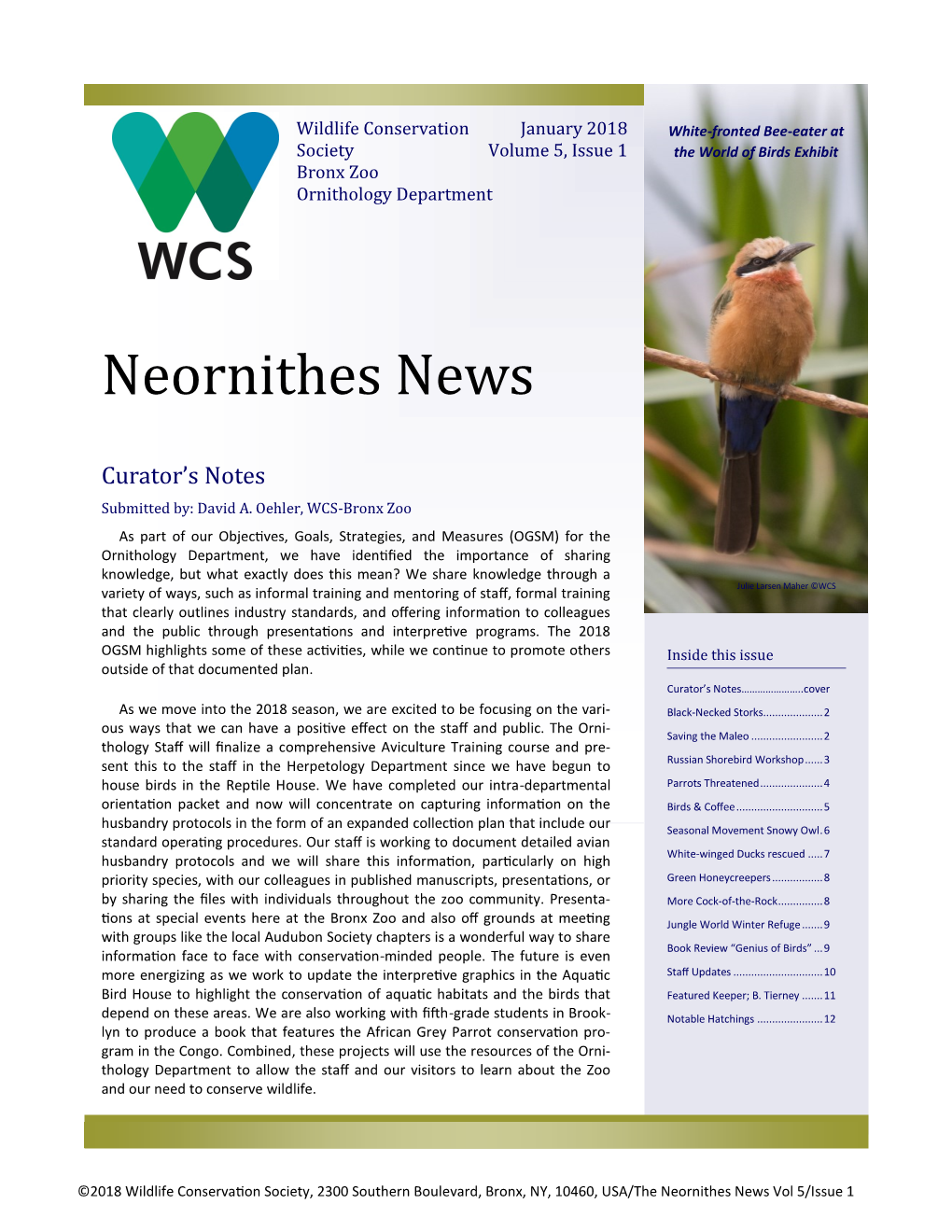 Neornithes News