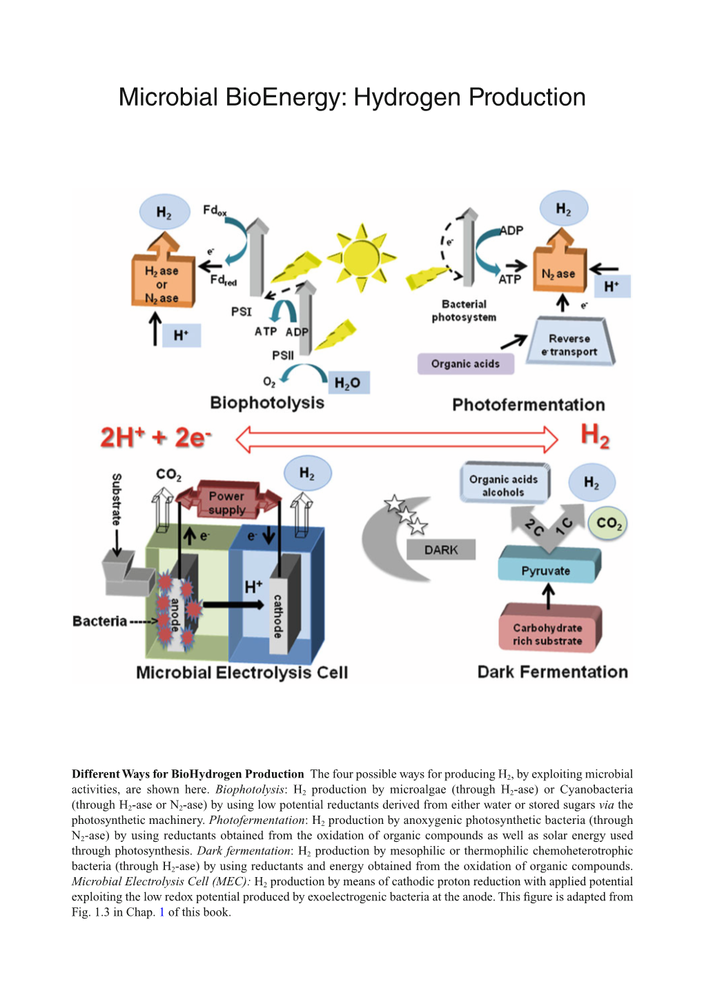 Microbial Bioenergy: Hydrogen Production