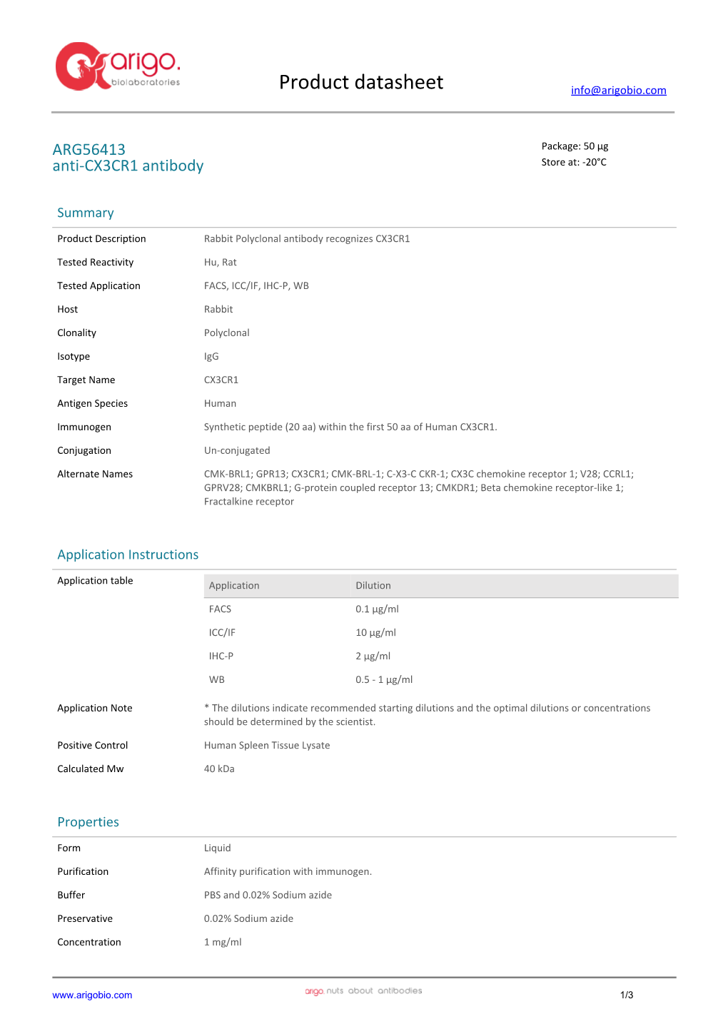 Anti-CX3CR1 Antibody (ARG56413)