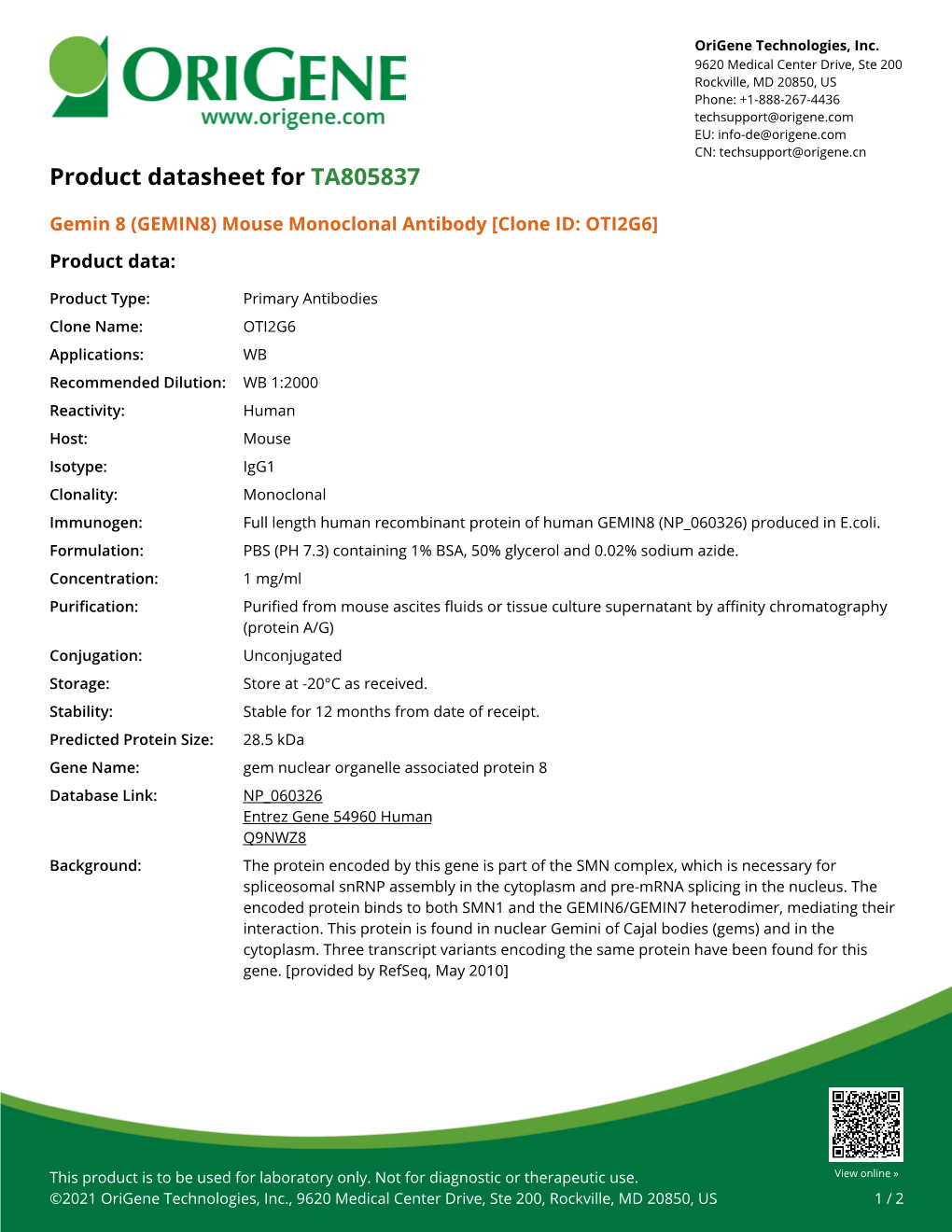 Gemin 8 (GEMIN8) Mouse Monoclonal Antibody [Clone ID: OTI2G6] Product Data