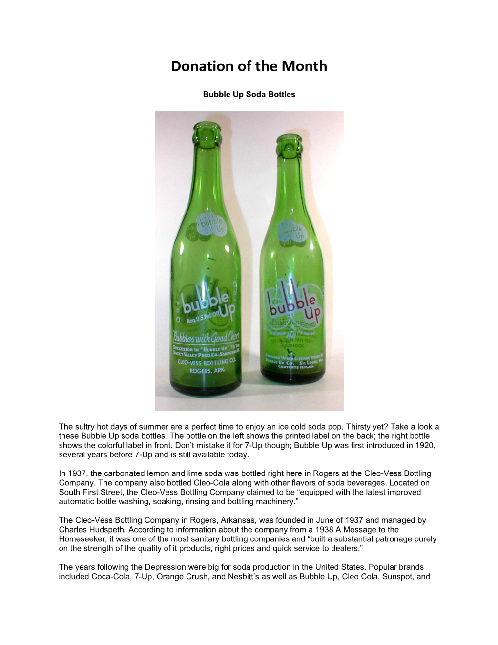 Bubble up Soda Bottles (PDF)