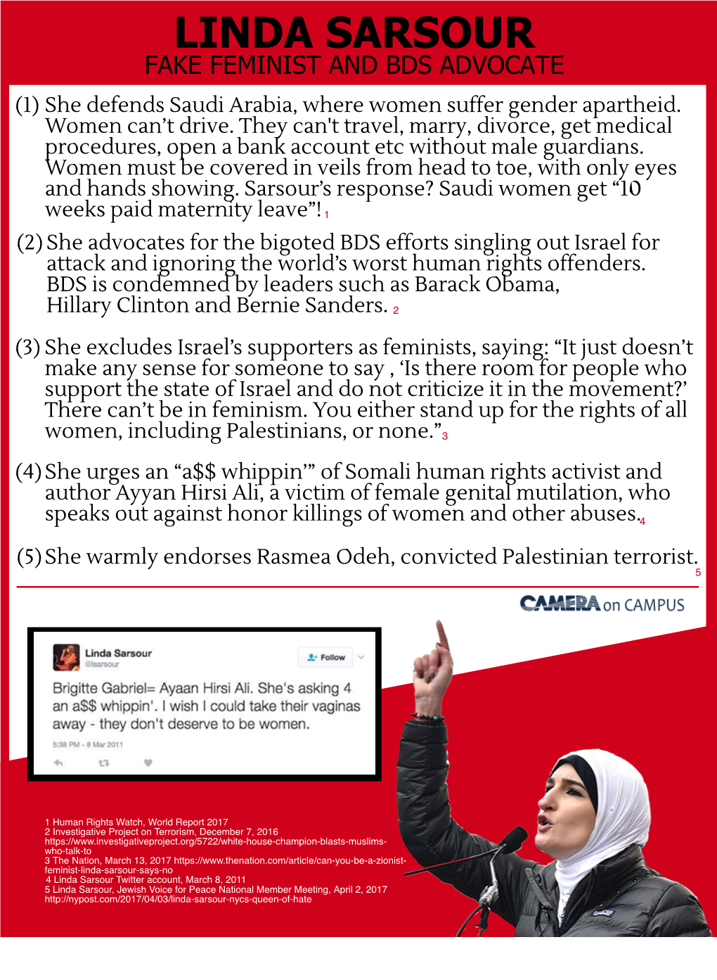 LINDA SARSOUR FAKE FEMINIST and BDS ADVOCATE (1) She Defends Saudi Arabia, Where Women Suffer Gender Apartheid