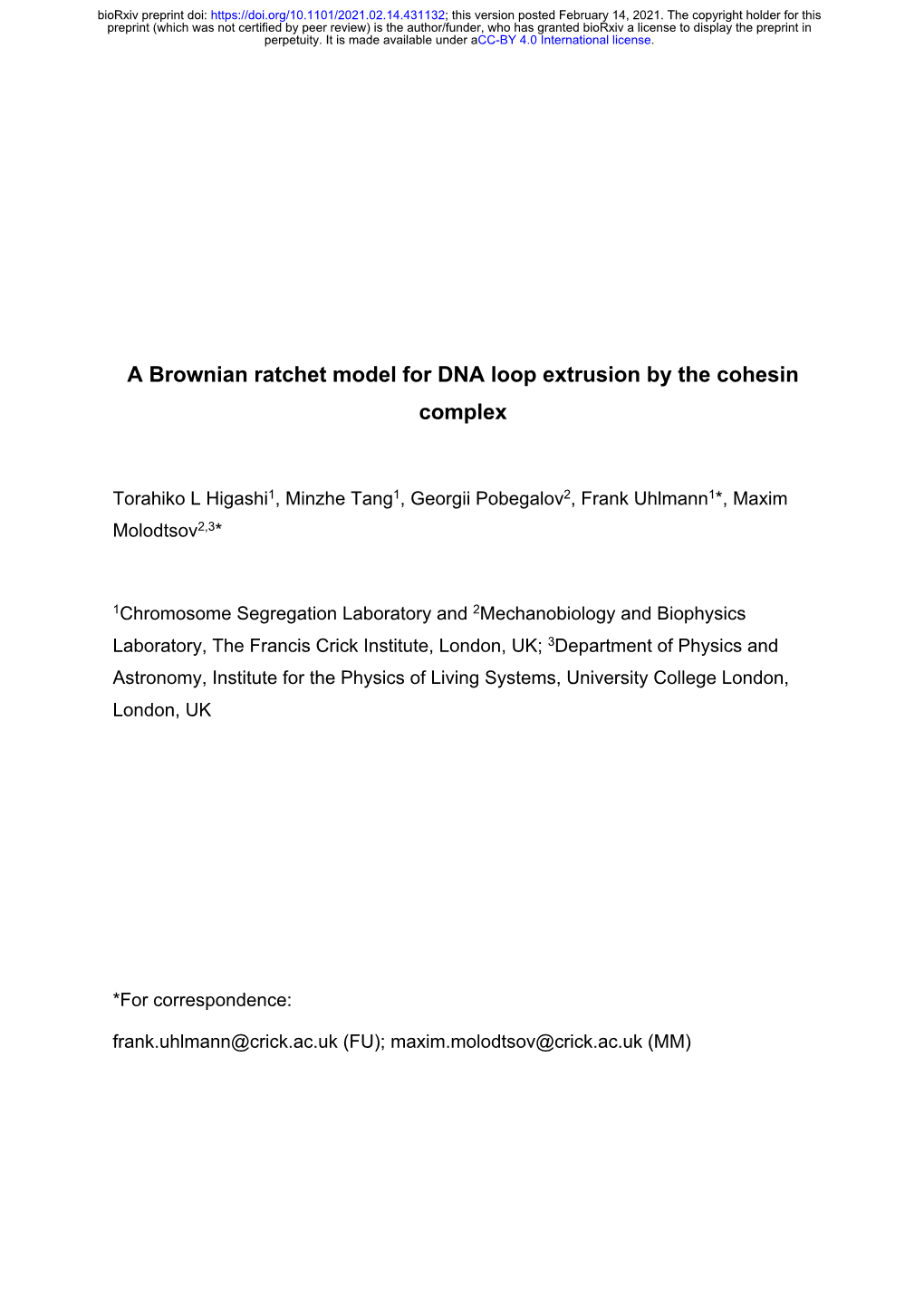 A Brownian Ratchet Model for DNA Loop Extrusion by the Cohesin Complex