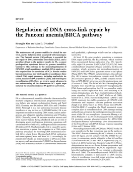 Regulation of DNA Cross-Link Repair by the Fanconi Anemia/BRCA Pathway