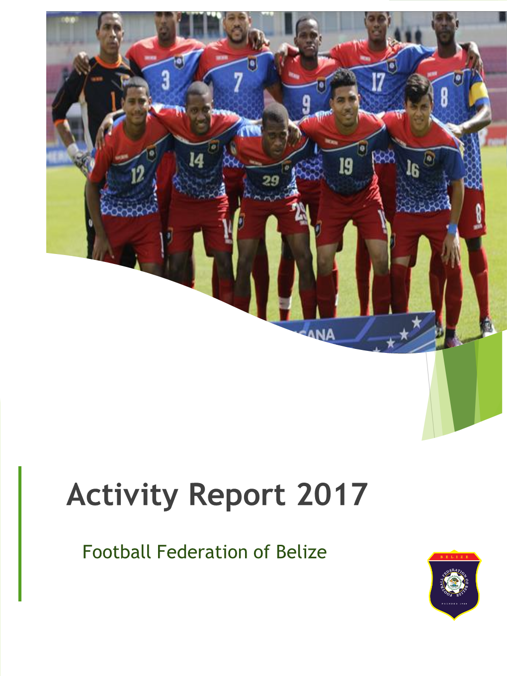 Activity Report 2017