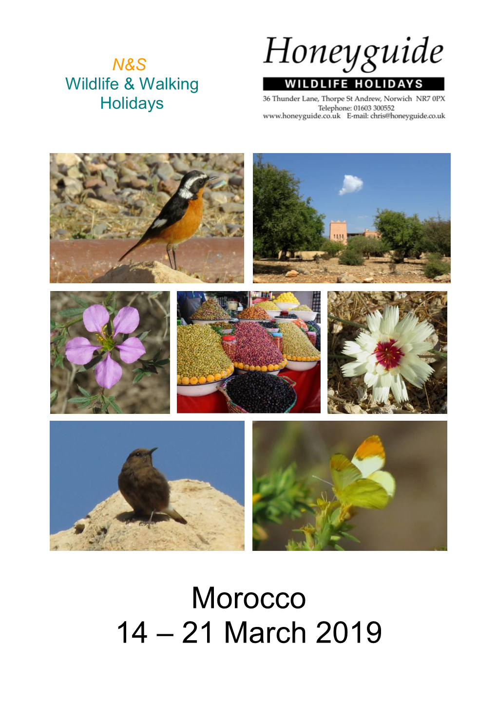 Morocco 14 – 21 March 2019