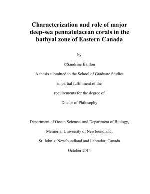 Characterization and Role of Major Deep-Sea Pennatulacean Corals in the Bathyal Zone of Eastern Canada