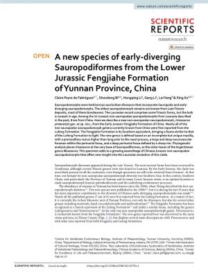 A New Species of Early-Diverging Sauropodiformes from the Lower