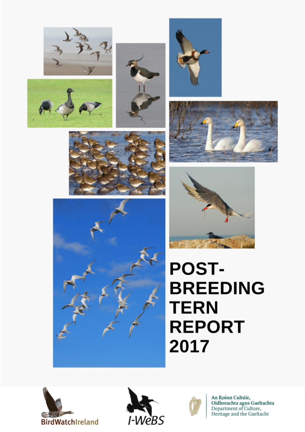 180223__Post-Breeding Terns 2017 Finalreport-Newformat2020.Pdf