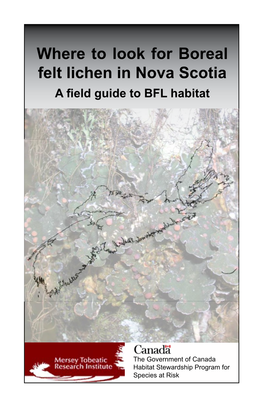 Where to Look for Boreal Felt Lichen Handbook