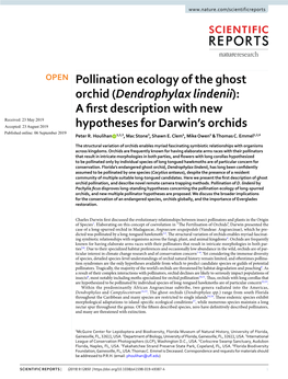 Dendrophylax Lindenii): a Frst Description with New Received: 23 May 2019 Accepted: 23 August 2019 Hypotheses for Darwin’S Orchids Published: Xx Xx Xxxx Peter R