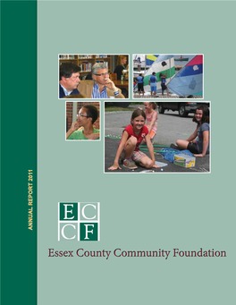 Promoting Local Philanthropy and Strengthening the Dear Neighbors and Friends, Nonprofit Organizations in Essex County, MA