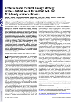 Bestatin-Based Chemical Biology Strategy Reveals Distinct Roles for Malaria M1- and M17-Family Aminopeptidases