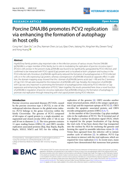Porcine DNAJB6 Promotes PCV2 Replication Via Enhancing The