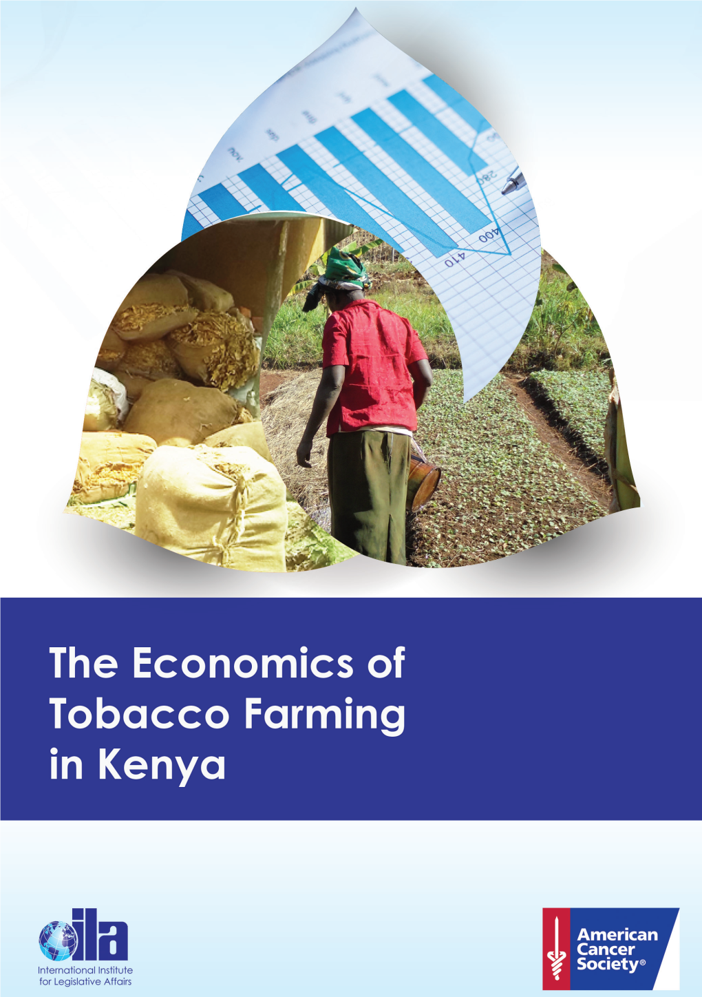 The Economics of Tobacco Farming in Kenya