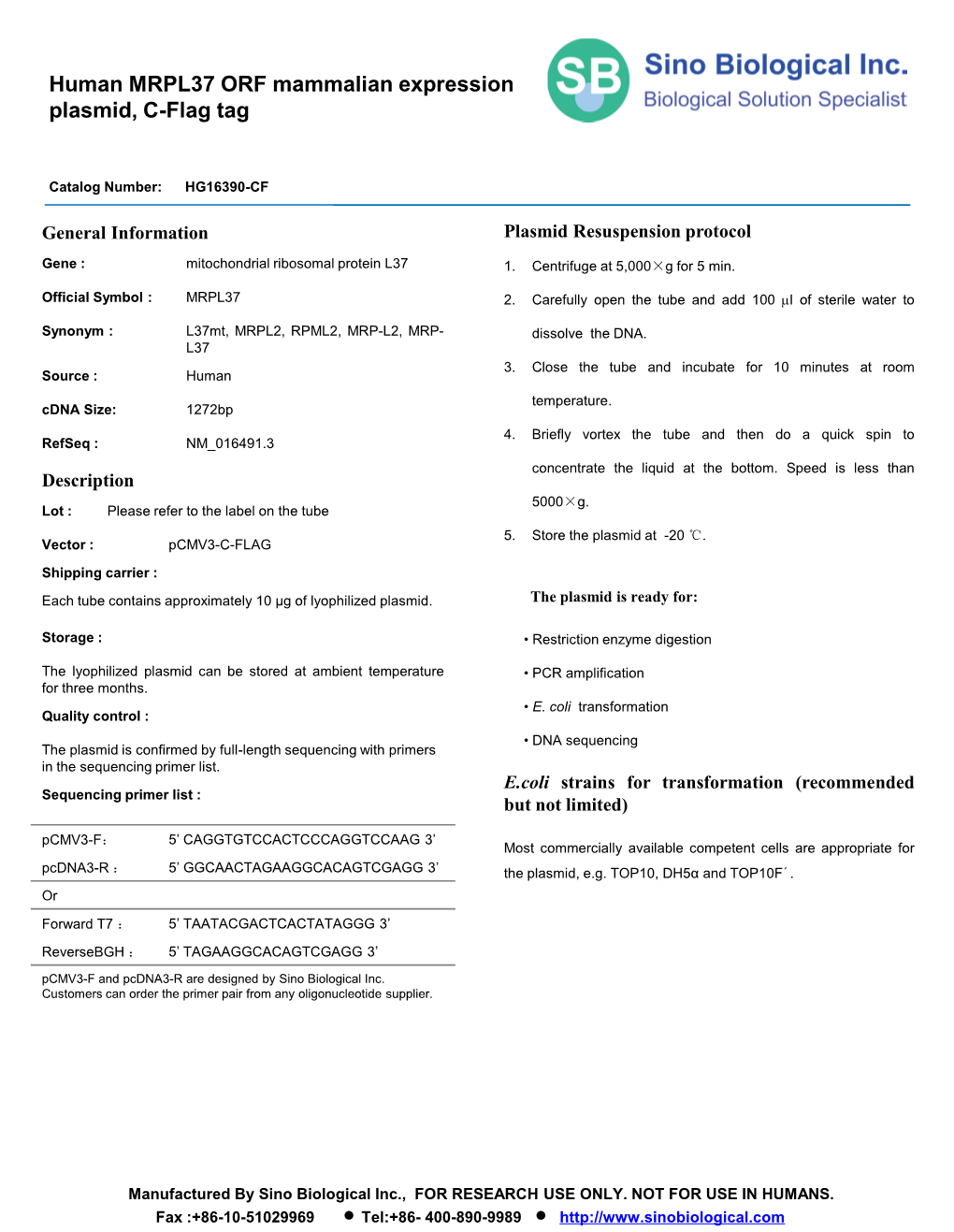 Human MRPL37 ORF Mammalian Expression Plasmid, C-Flag Tag