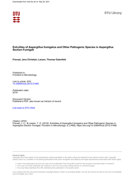 Extrolites of Aspergillus Fumigatus and Other Pathogenic Species in Aspergillus Section Fumigati