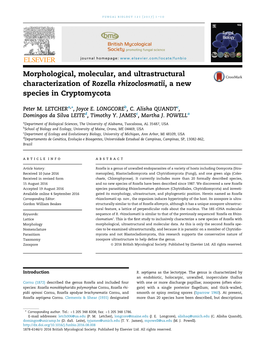 Morphological, Molecular, and Ultrastructural Characterization of Rozella Rhizoclosmatii, a New Species in Cryptomycota