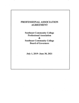 Professional Association Agreement