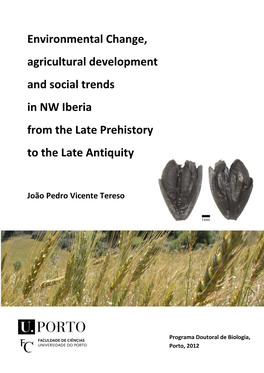 Environmental Change, Agricultural Development and Social Trends in NW Iberia from the Late Prehistory to the Late Antiquity