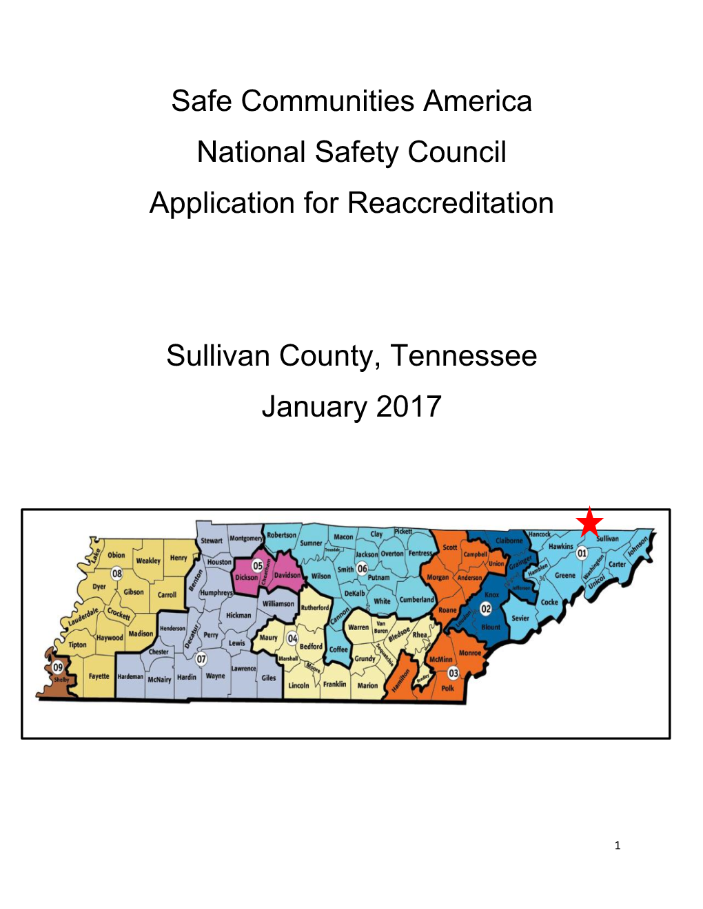 Safe Communities America National Safety Council Application for Reaccreditation