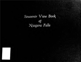 Souvenir View Book of Niagara Falls.