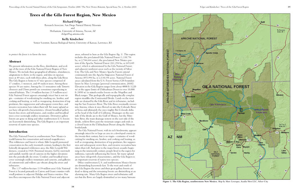 Trees of the Gila Forest Region, New Mexico