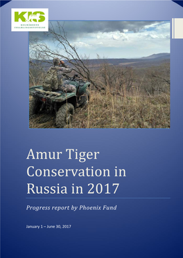 Amur Tiger Conservation in Russia in 2017