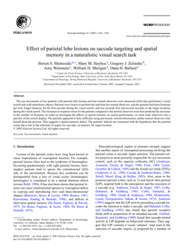 Effect of Parietal Lobe Lesions on Saccade Targeting and Spatial Memory in a Naturalistic Visual Search Task Steven S