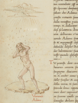 Nakedness and Other Peoples: the Italian Renaissance Nude