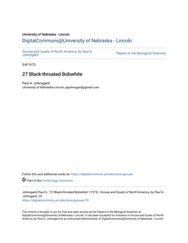 27 Black-Throated Bobwhite