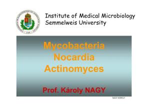 Mycobacteria Nocardia Actinomyces