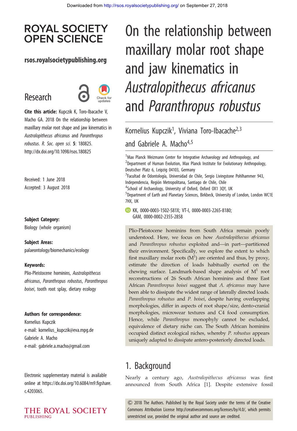 Australopithecus Africanus Research