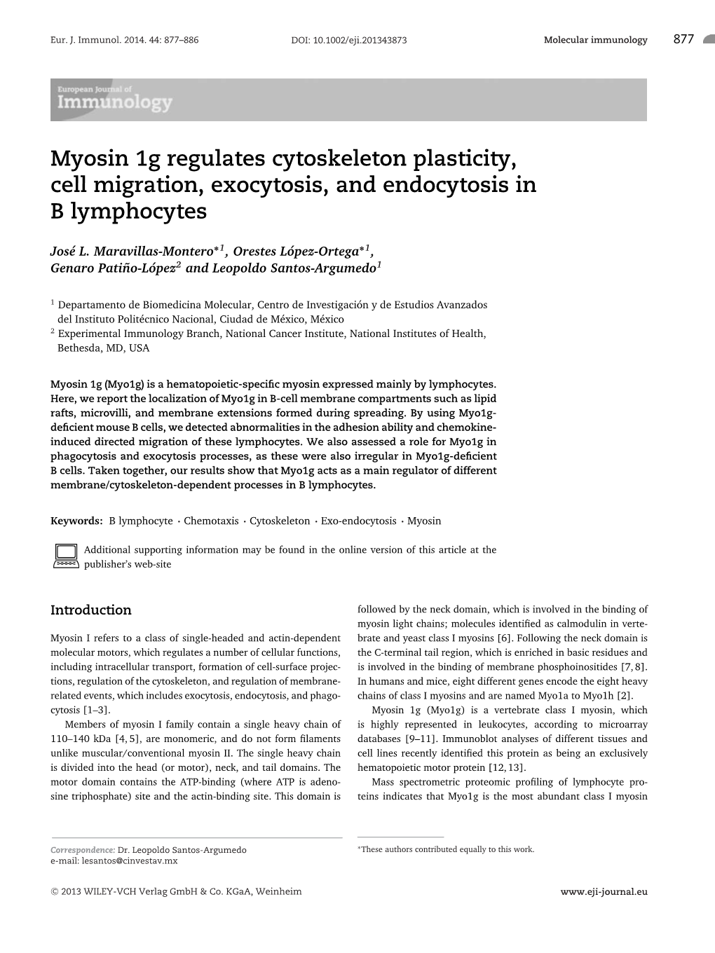 Myosin 1G Regulates Cytoskeleton Plasticity, Cell Migration, Exocytosis, and Endocytosis in B Lymphocytes