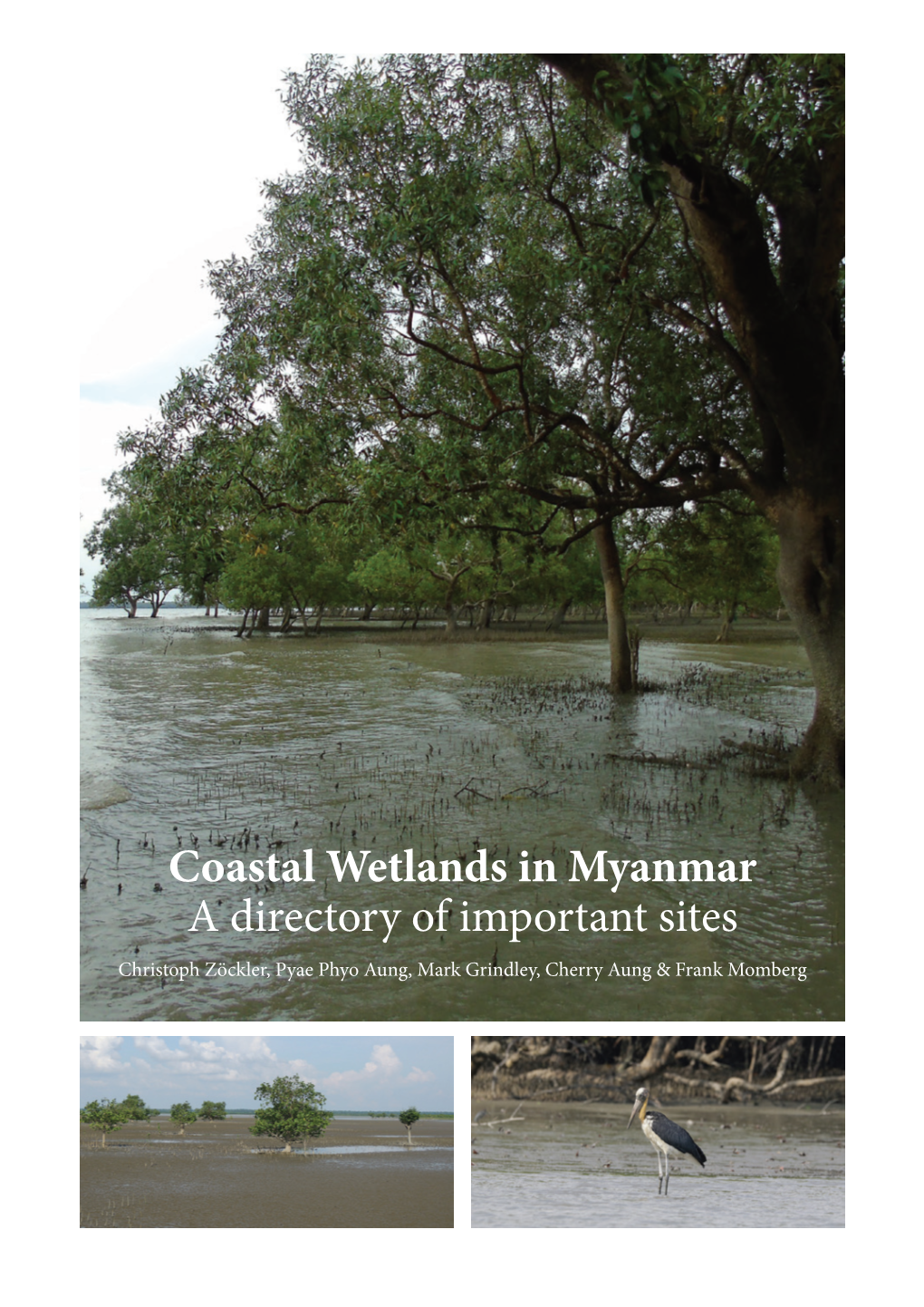 Myanmar Wetlands.Indd