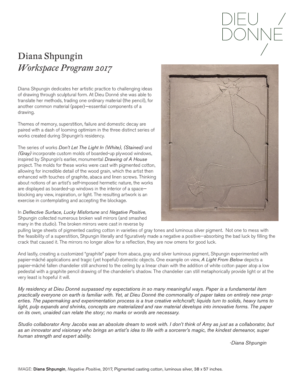 Diana Shpungin Workspace Program 2017