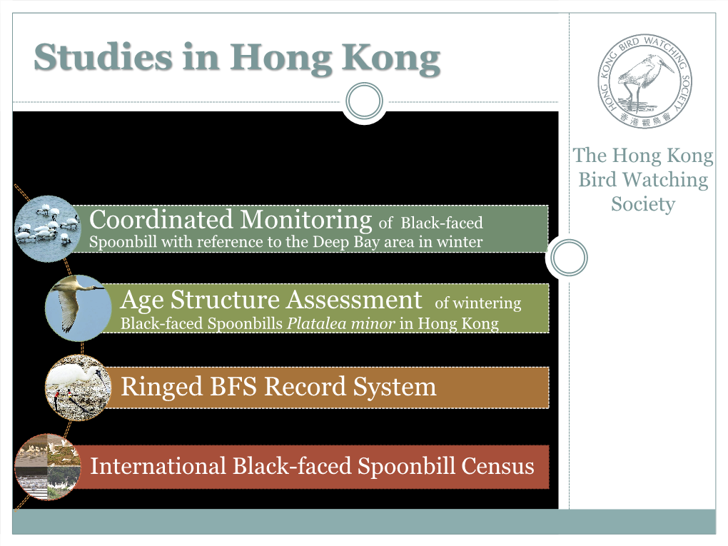 Studies in Hong Kong