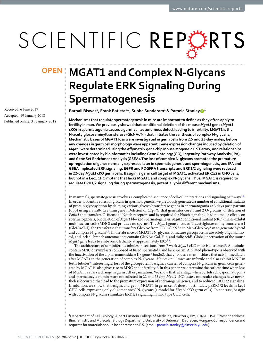 MGAT1 and Complex N-Glycans Regulate ERK Signaling
