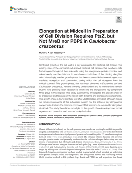 Elongation at Midcell in Preparation of Cell Division Requires Ftsz, but Not Mreb Nor PBP2 in Caulobacter Crescentus