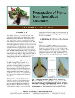Propagation of Plants from Specialized Structures
