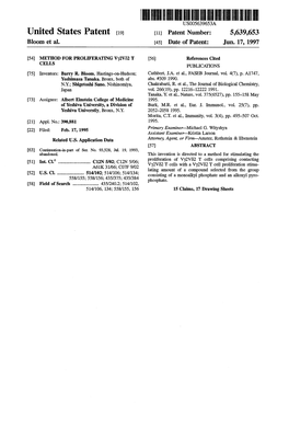 United States Patent 19 11 Patent Number: 5,639,653 Bloom Et Al