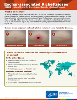 Eschar-Associated Rickettsioses Pdf Icon[PDF – 2 Pages]