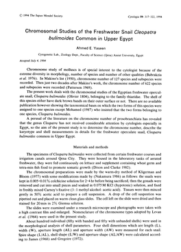 Chromosomal Studies of the Freshwater Snail Cleopatra Bulimoides Common in Upper Egypt
