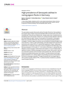 High Prevalence of Sarcocystis Calchasi in Racing Pigeon Flocks in Germany