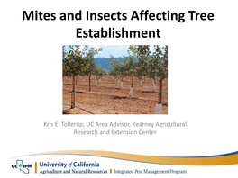 Mites and Insects Affecting Tree Establishment