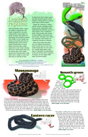 Lesser Known Snakes (PDF)