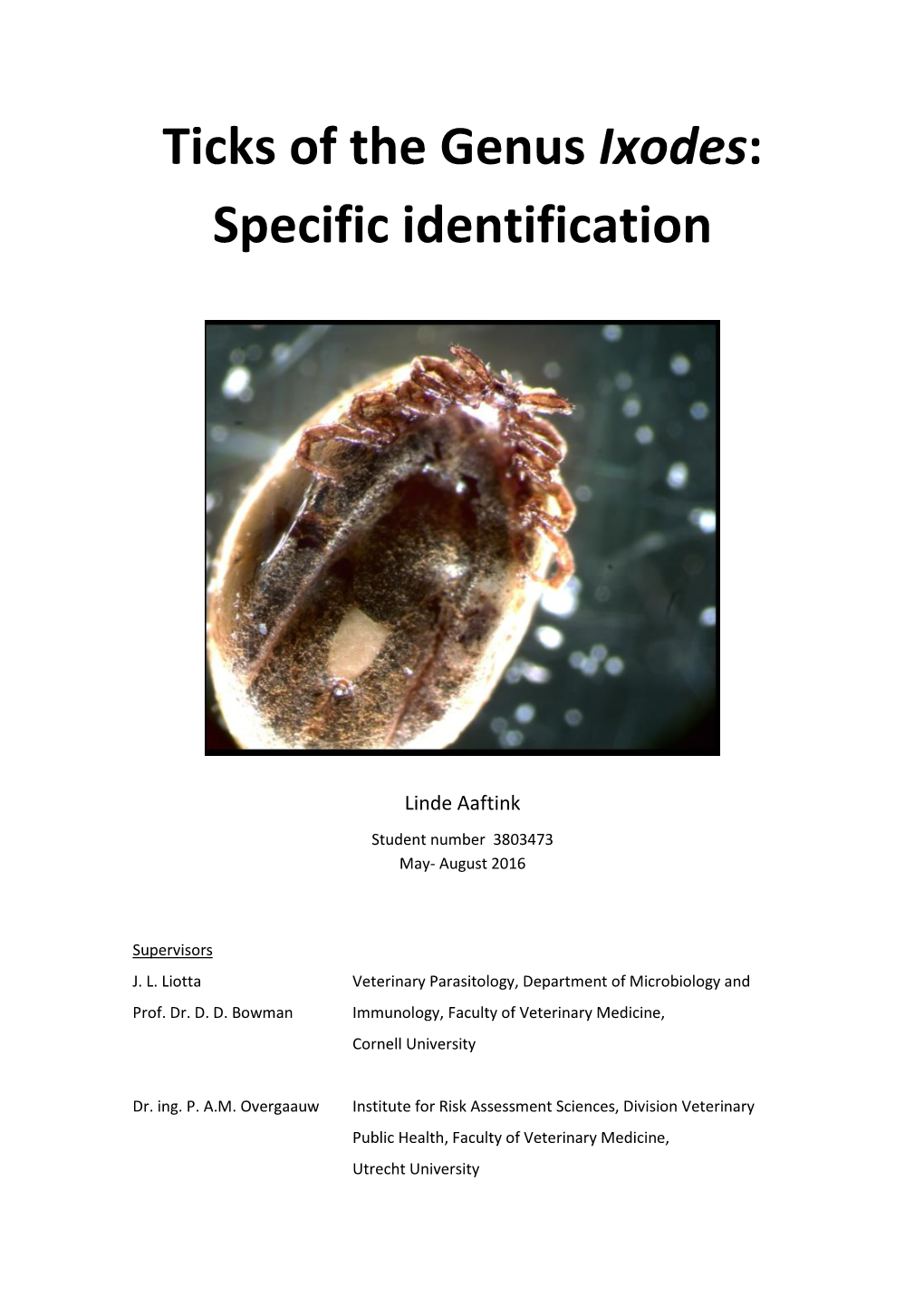Ticks of the Genus Ixodes: Specific Identification