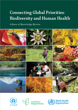 Connecting Global Priorities: Biodiversity and Human Health