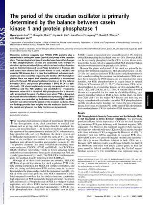 The Period of the Circadian Oscillator Is Primarily Determined by the Balance Between Casein Kinase 1 and Protein Phosphatase 1